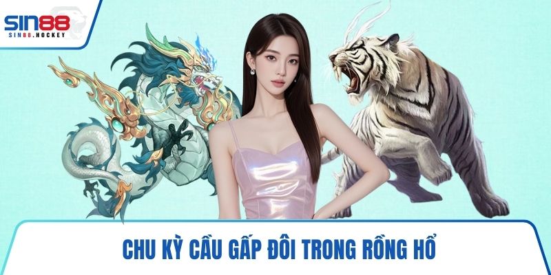 Chu kỳ cầu gấp đôi trong Rồng Hổ