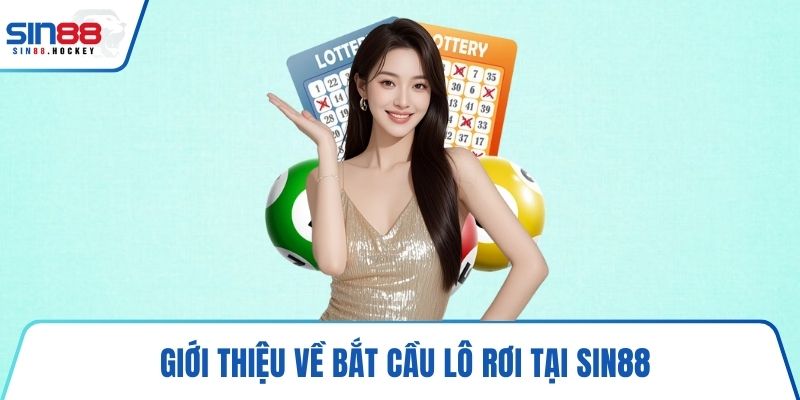 Giới thiệu về bắt cầu lô rơi tại SIN88