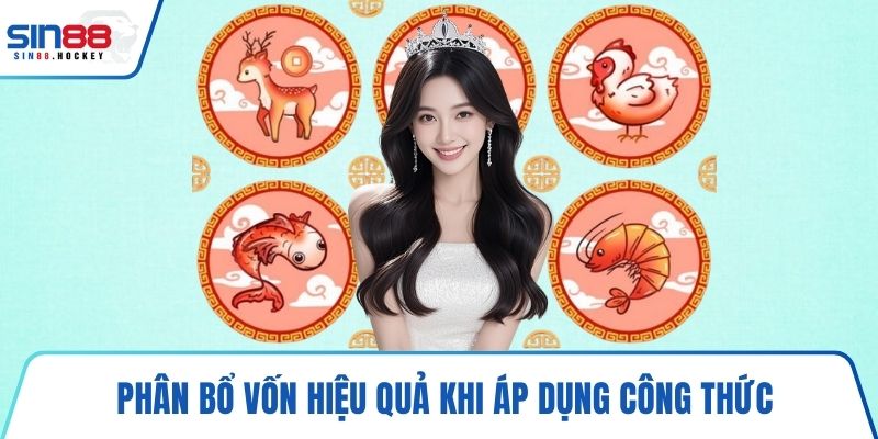 Phân bổ vốn hiệu quả khi áp dụng công thức