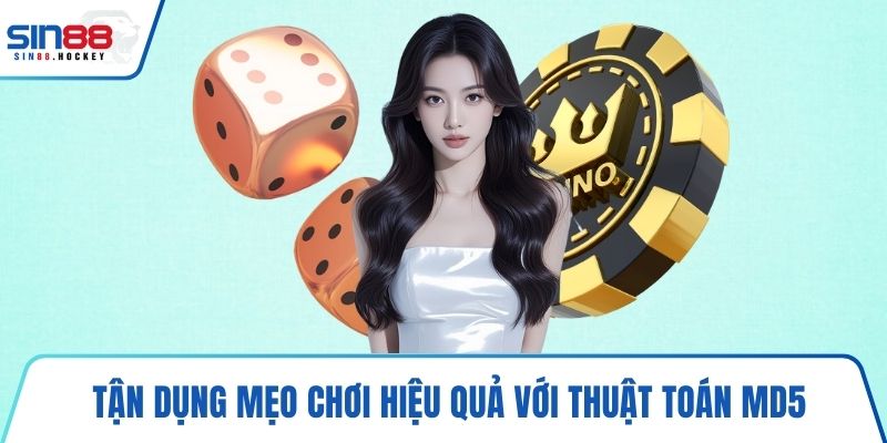 Tận dụng mẹo chơi hiệu quả với thuật toán MD5