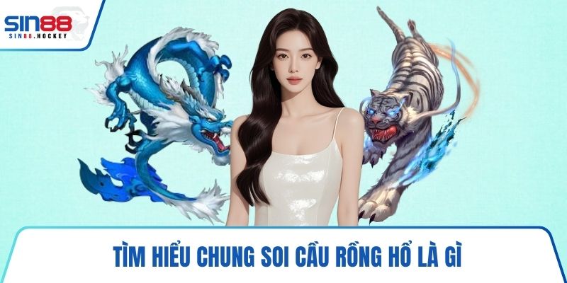 Tìm hiểu chung soi cầu Rồng Hổ là gì